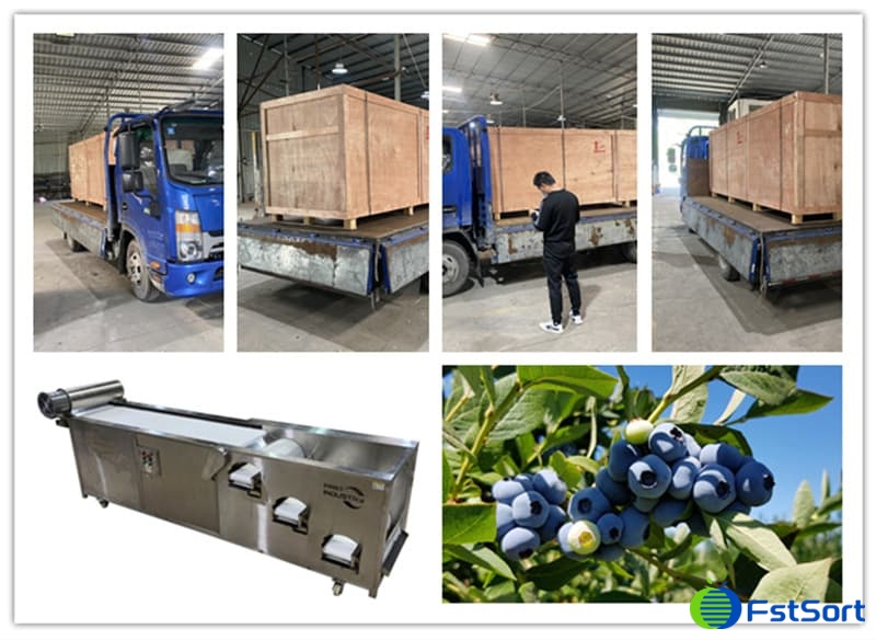 images/1652861725392blueberry grading equipment.jpg